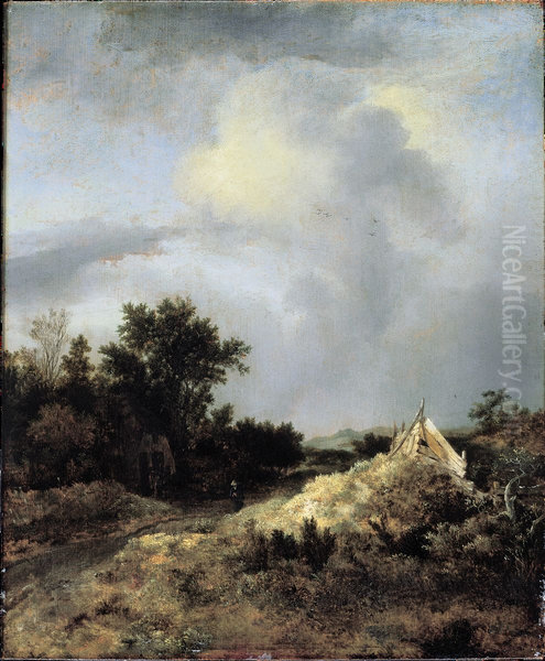 Dune Landscape with Fence - view 1