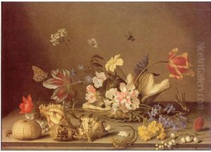 Still life of flowers and shells by Balthasar Van Der Ast