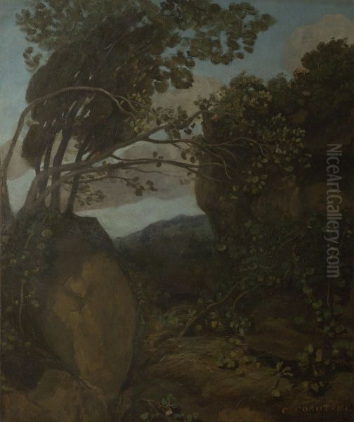 Souvenir of Nemi. Rocks and shrubs - view 1
