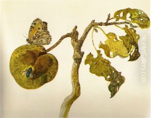 Butterfly and Blue Fly by Rochus Van Veen