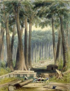 A sawyer's clearing in a forest of kauri by Charles Heaphy