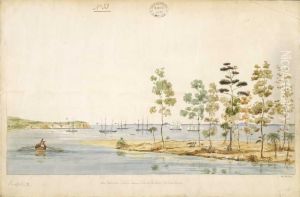 Port Wakefield, from the entrance of the Nairn River; Chatham Islands.