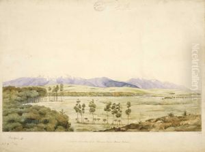 View in the valley of the Waimea River, Nelson district by Charles Heaphy