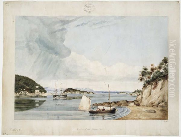 Astrolabe Roads, Tasman's Gulf - view 1
