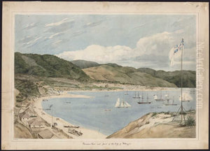 Thorndon Flat and part of the city of Wellington. Thorndon Flat and part of the city of Wellington.