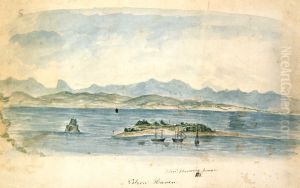 Nelson Haven