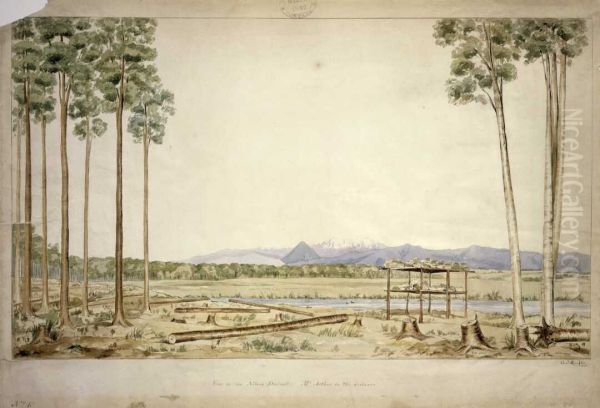 View in the Nelson district; Mt. Arthur in the distance no. 6 - view 1