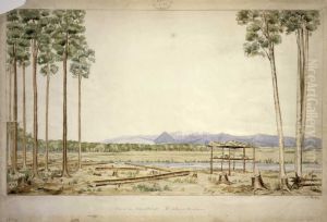 View in the Nelson district; Mt. Arthur in the distance no. 6 by Charles Heaphy