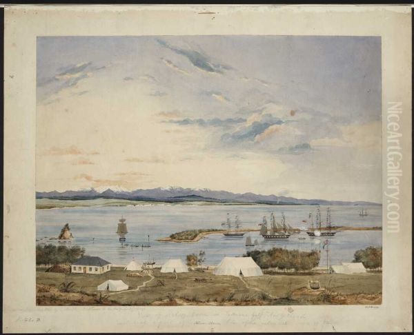 View of Nelson Haven in Tasman's Gulf, New Zealand, including a part of the site of the intended town of Nelson - view 1