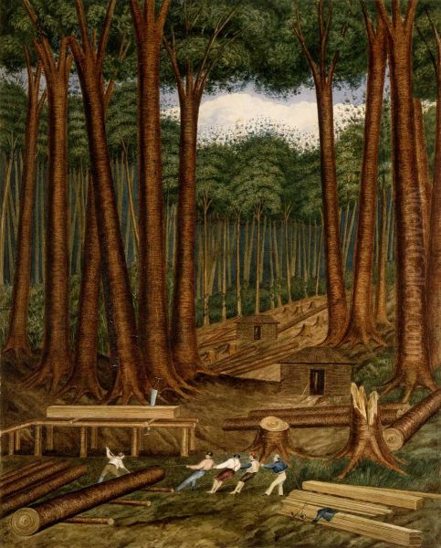 Kauri forest, Wairoa River, Kaipara. - view 1