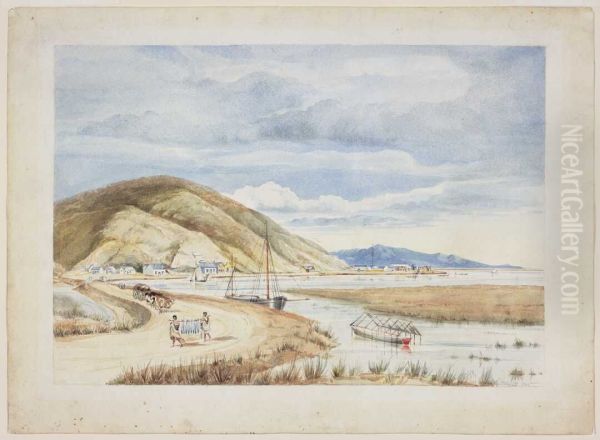 View of Nelson foreshore - view 1