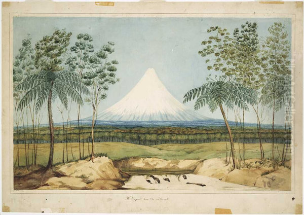 Mt Egmont from the southward. - view 1