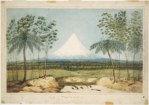 Mt Egmont from the southward.