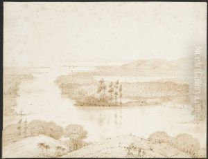 The Aorere Valley Massacre Bay Nelson