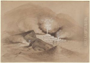 Intermittent boiling spring near Rotorua by Charles Heaphy