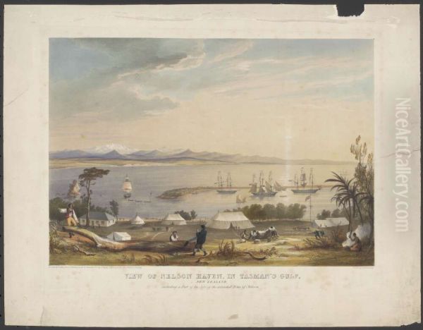 View of Nelson Haven, Tasman's Gulf, New Zealand, including a part of the site of the intended town of Nelson - view 1
