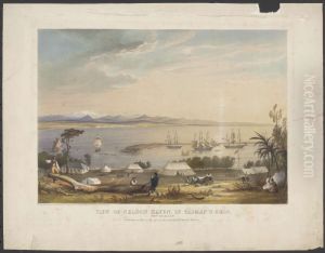 View of Nelson Haven, Tasman's Gulf, New Zealand, including a part of the site of the intended town of Nelson by Charles Heaphy