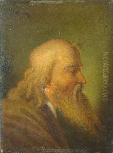 Study of an old man's head - view 1