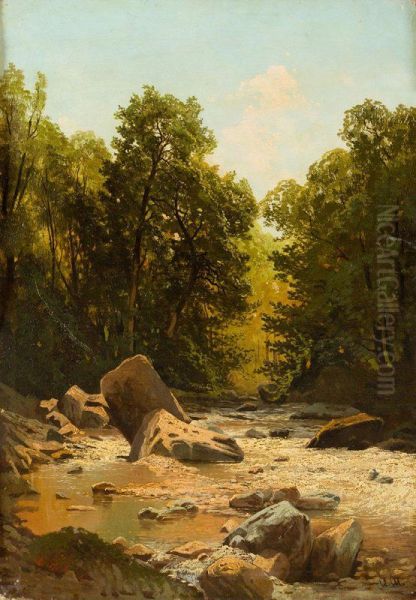 Stream in the Forest - view 1