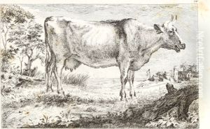 Study of a Cow Study of a Cow