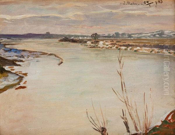 Wiosenne roztopy - view 1