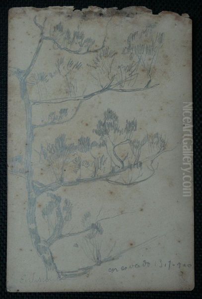 Arbustos - Desmembrado de um caderno de anotacoes - view 1