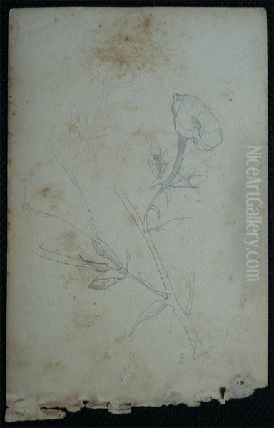 Flores - Desmembrado de um caderno de anotacoes - verso da obra D966 - view 1