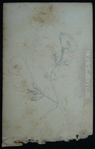 Flores - Desmembrado de um caderno de anotacoes - verso da obra D966 Flores - Desmembrado de um caderno de anotacoes - verso da obra D966