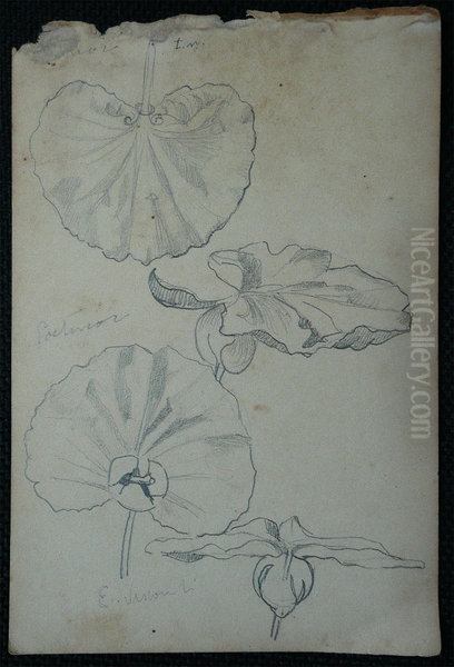 Folhas - Desmembrado de um caderno de anotacoes - view 1