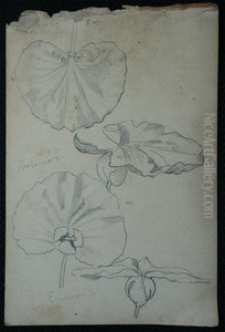 Folhas - Desmembrado de um caderno de anotacoes Folhas - Desmembrado de um caderno de anotacoes