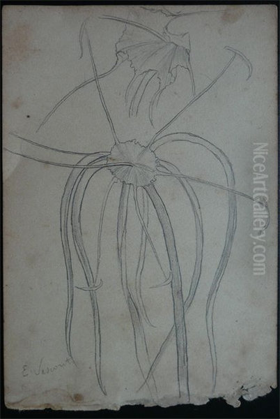 Pistilos - Desmembrado de um caderno de anotacoes - view 1