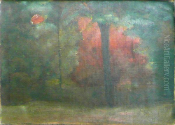 Arvoredo - view 1