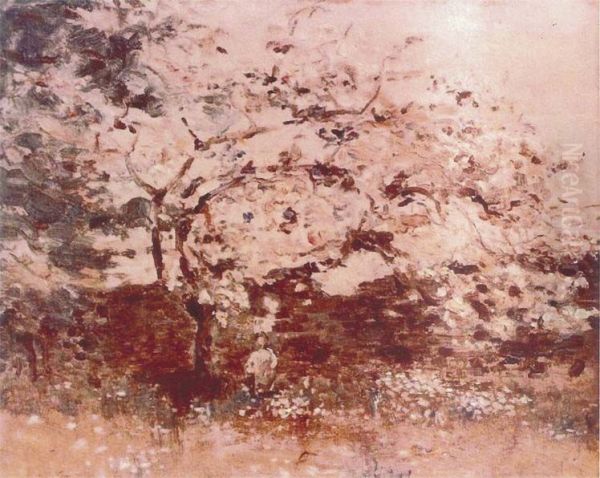 Macieira em flor - view 1