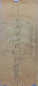 Vegetal - verso da obra D969 Vegetal - verso da obra D969