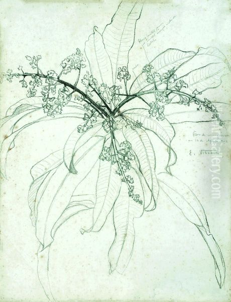 Flor de mangueira - view 1