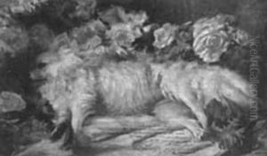 (Cachorro morto), da colecao Museu Historico Nacional