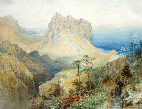 Coastal Scene - view 1