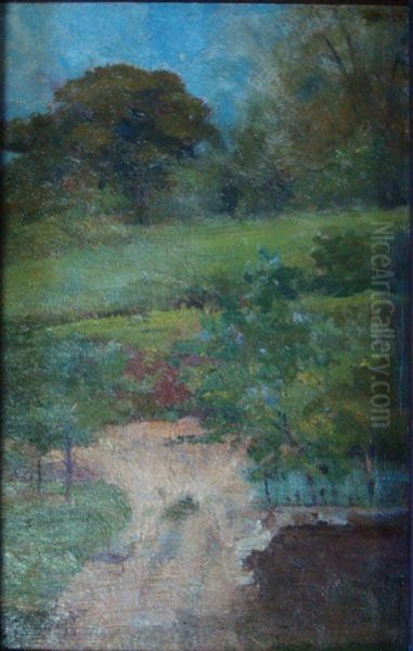 Paisagem - view 1
