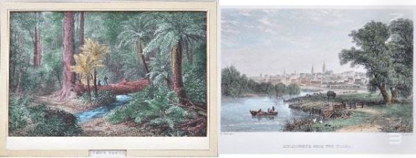 Melbourne From The Yarra Ii) 
Fern Trees - view 1