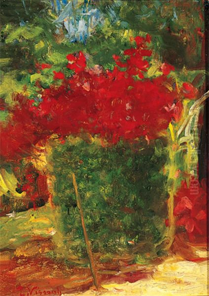 Meu jardim - view 1