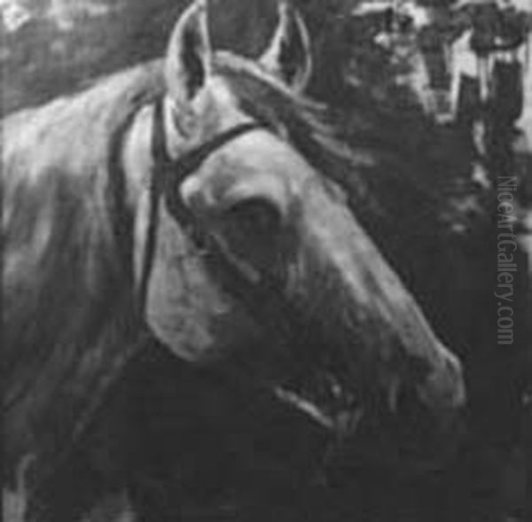 Cabeca de cavalo, da colecao Museu Historico Nacional - view 1
