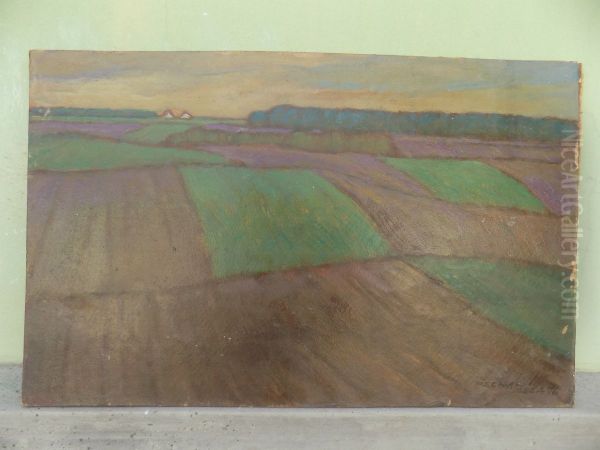 Landscape of Vojvodina - view 1