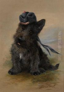 A Black Scottie