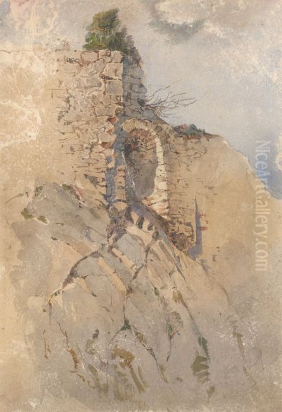 Zrucaniny hradu - view 1