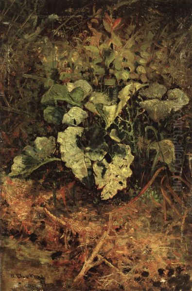 Burdock - view 1