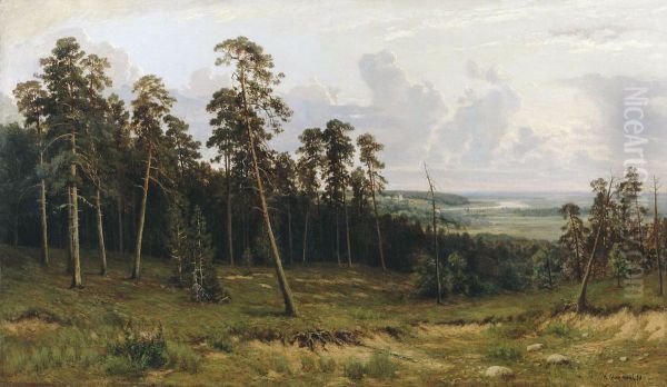 Forest edge - view 1