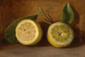 Lemons Lemons