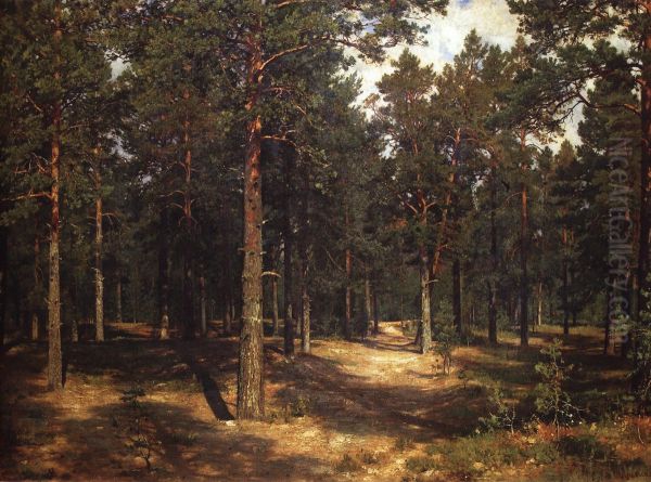 Path among the pines - view 1