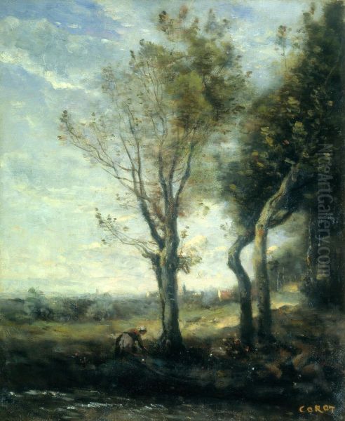 The Four Trees by the Plain - view 1