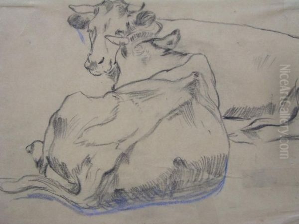 Deux Vaches Au Repos - view 1